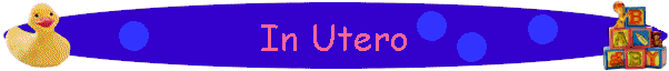 In Utero