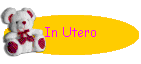 In Utero