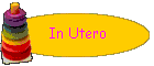 In Utero